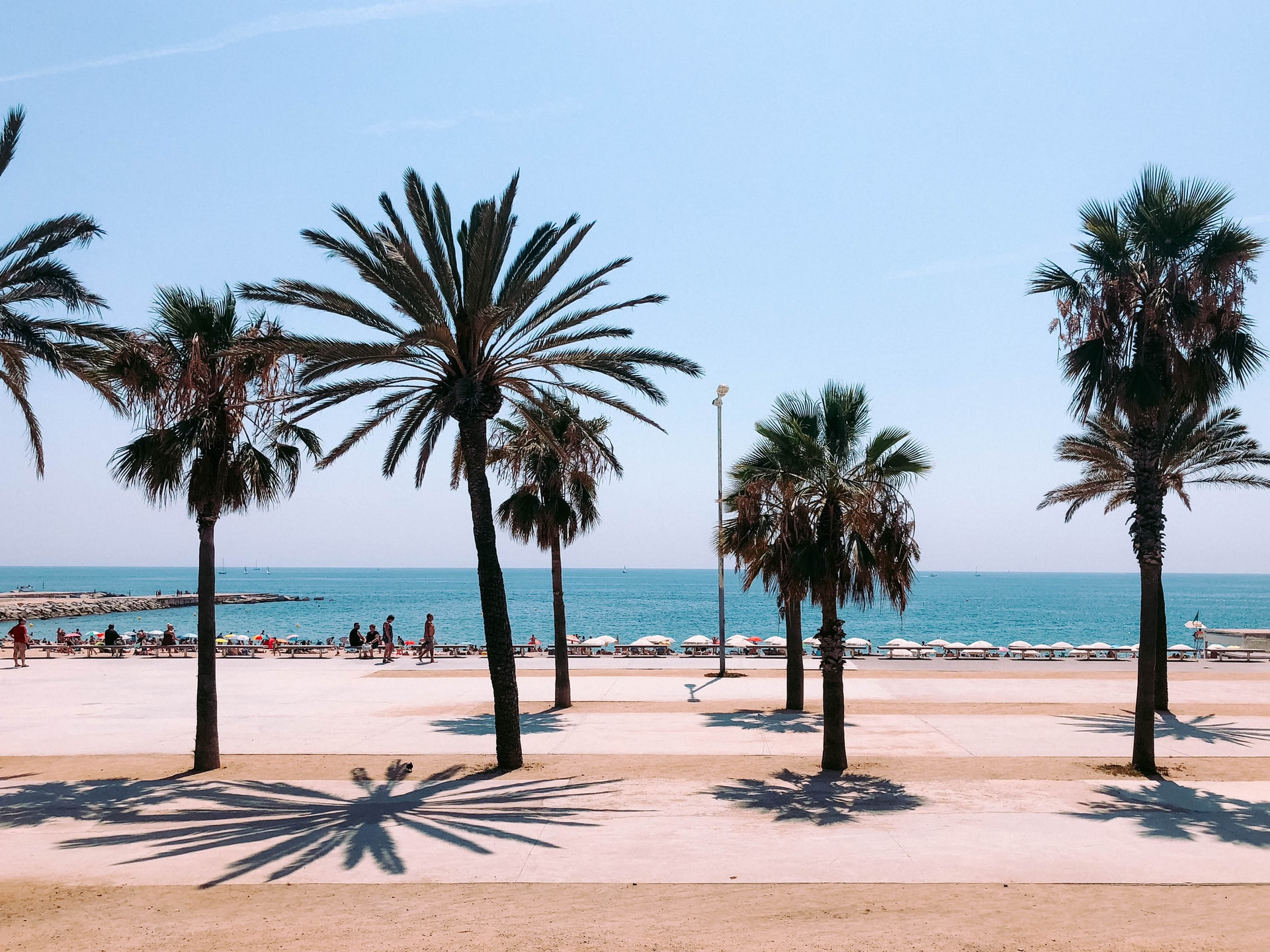 Palm beach in Barcelona